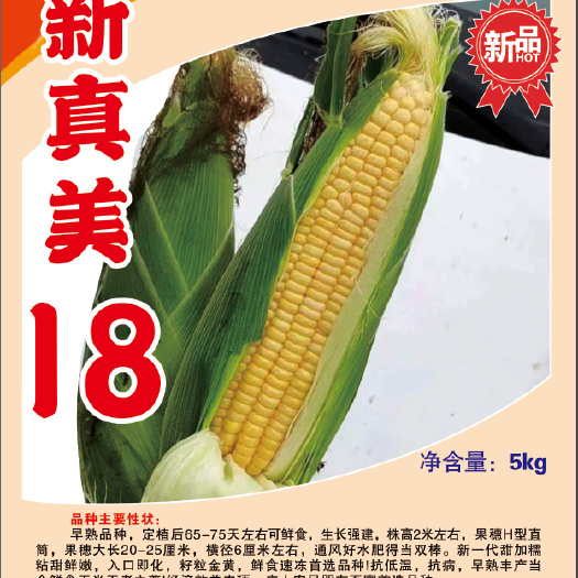 梅河口市2018/真美18甜糯玉米种子