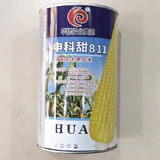济南申科甜811黄色甜玉米种子