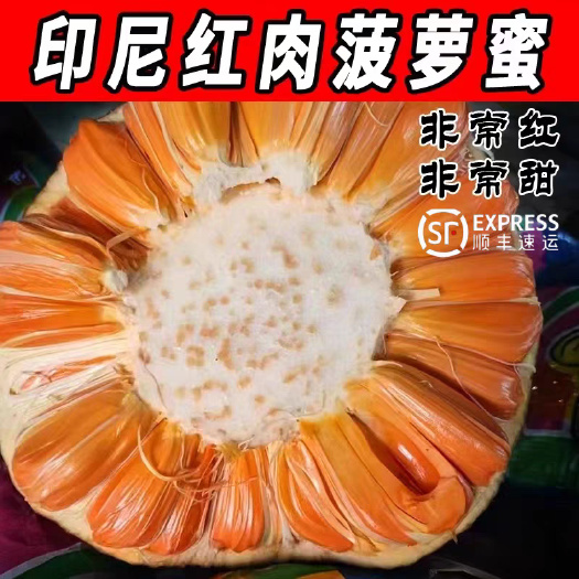 凭祥市越南印尼红肉菠萝蜜新鲜干苞 批发一件代发