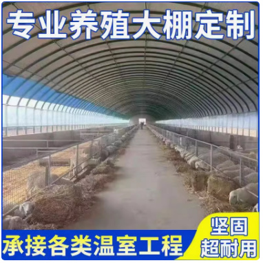 天津优质大棚温室建材直销 农资农机专用设施  大棚设备供应