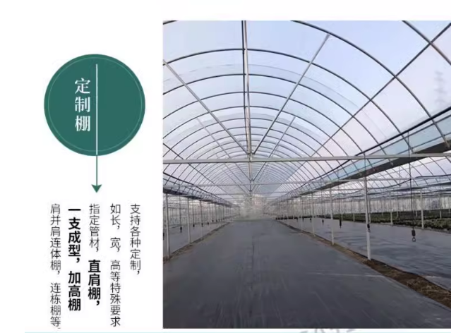 天津温室大棚厂家温室骨架定制一站式服务温室