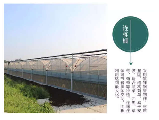天津温室大棚厂家温室骨架定制一站式服务温室