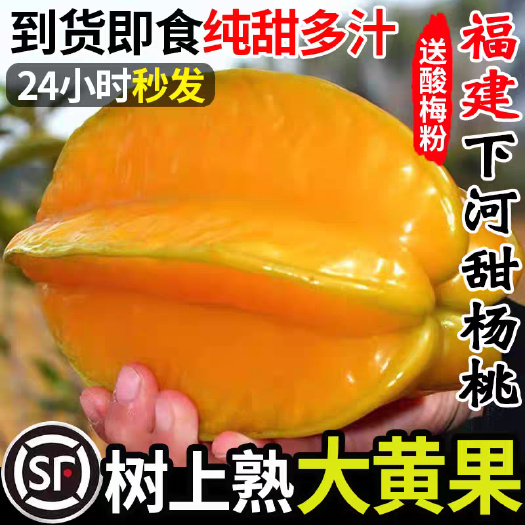 云霄县【顺丰包邮】福建漳州甜杨桃新鲜现摘现发应季低糖水果爽甜多汁