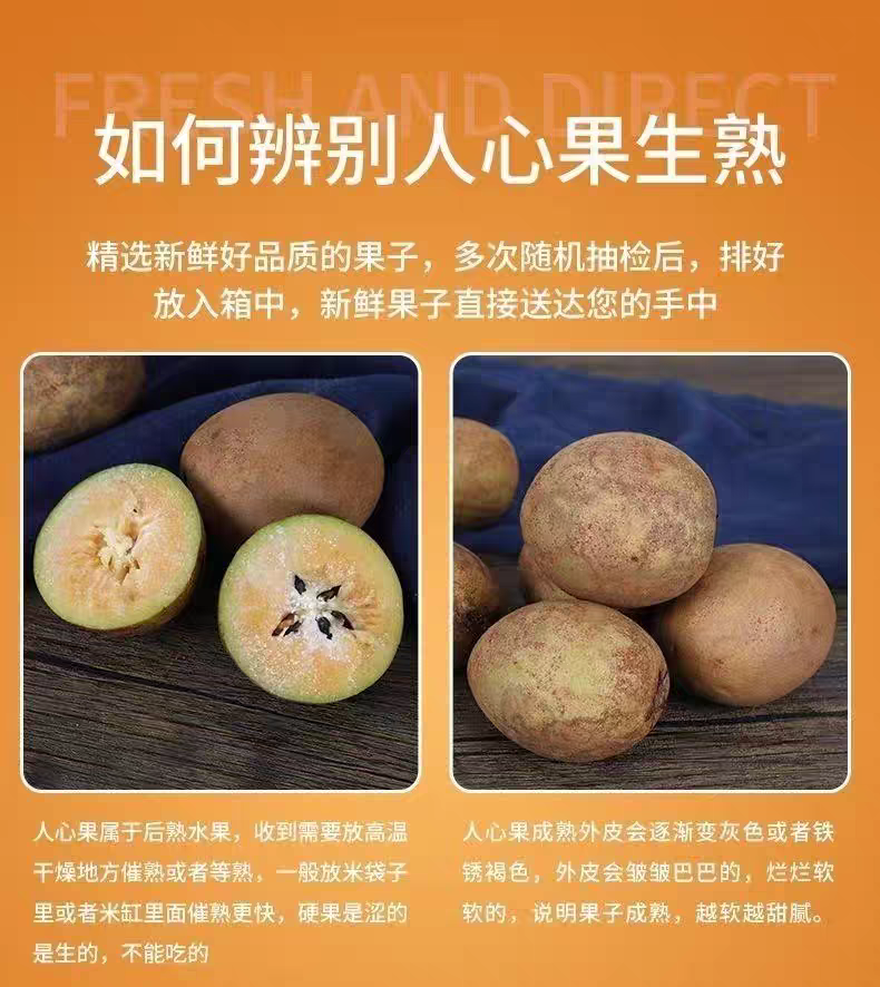 农家院子人心果无农药绿色水果人参果当季水果