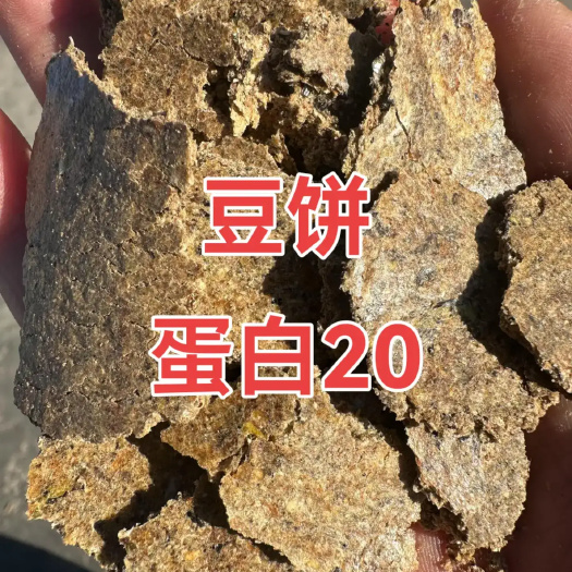 石家庄豆饼，蛋白20，养殖牛羊，饲料载体添加
