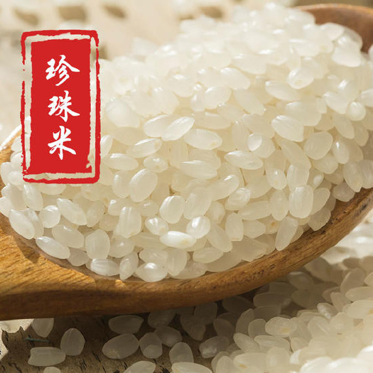 成都珍珠米