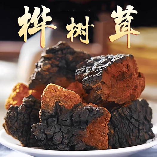 桦甸市桦树黄桦树茸