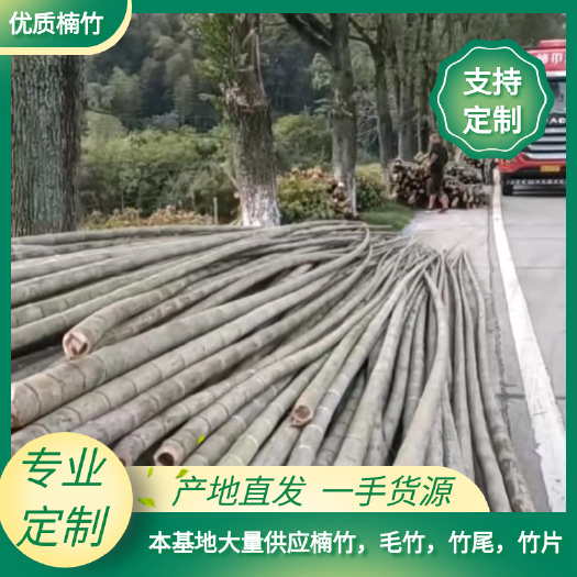 永安市新鲜毛竹，楠竹，老竹子，大量现货批发，可现场定制，可视频看货