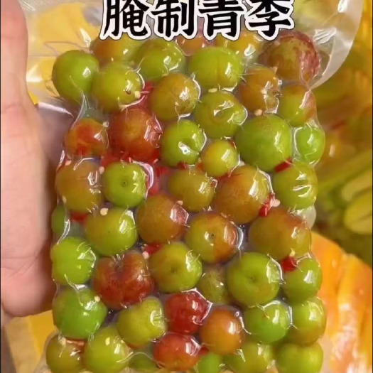 信宜市信宜三月李