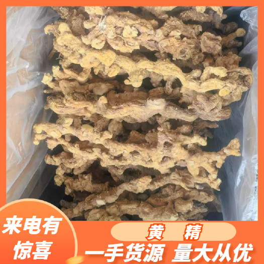 黄精，黄精个子，地藏黄精，九华山黄精，长黄精，