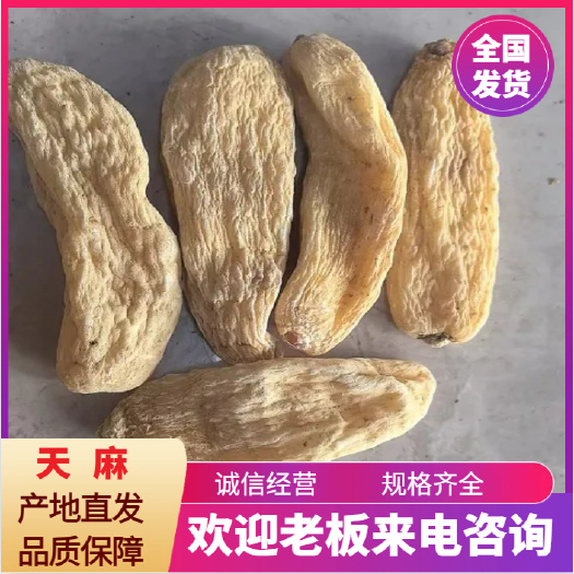 亳州天麻产地直销一手货源大货直发
