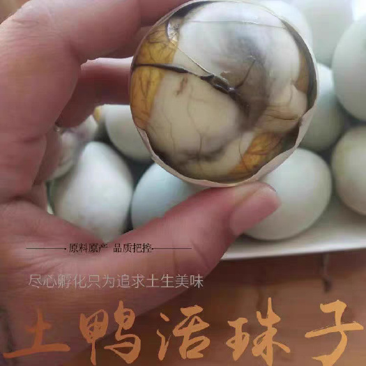杭州杭州活珠子批发 15-23 天 鸭 活喜