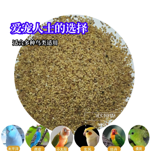 石家庄新黄小米无壳谷子小鸟饲料鹦鹉饲料草籽碎小米鸟粮虎皮玄凤都可用