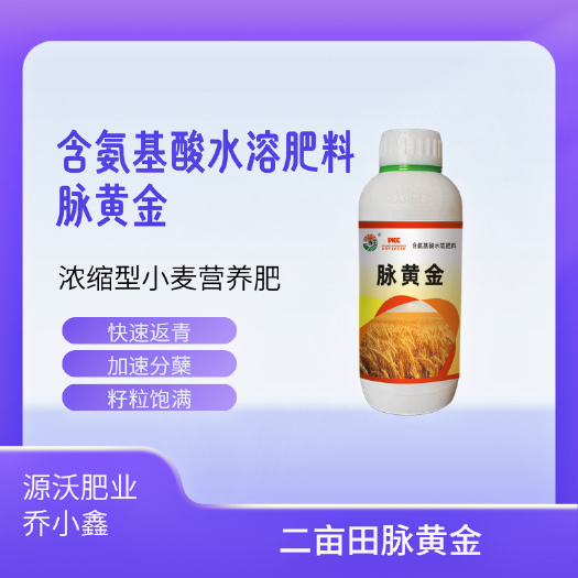 小麦叶面肥 麦黄金含氨基酸水溶肥 复合微生物肥料