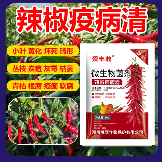 济南辣椒疫病清辣椒病专用药辣椒病毒病卷叶病黄叶炭疽微生物菌剂