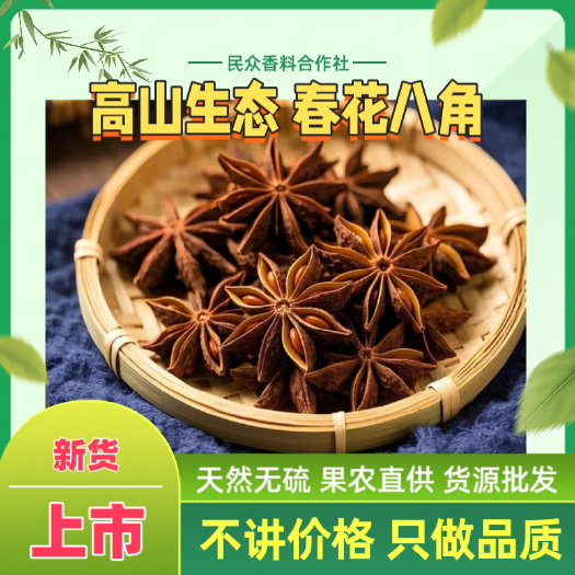 南宁广西深山生态八角 2025 新货春花八角 天然无硫晒场直发