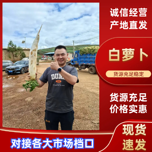 沙洋县沙洋白萝卜，优质货源 干