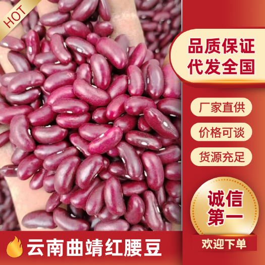 富源县云南本地红芸豆红腰豆一包代发
