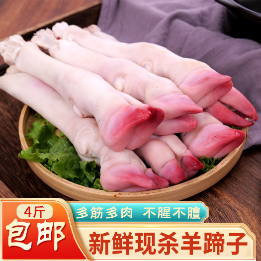 南京新鲜冷冻羊蹄散养整只干净无毛带筋山羊蹄羊脚羊排羊杂羊头批发