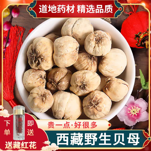 西藏藏贝母 可代磨粉