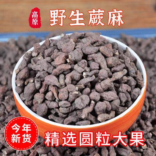 西宁玉树蕨麻【人参果】颗粒饱满