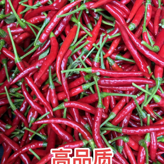 马山县朝天椒，干辣椒，高辣度，香味浓郁，本地种植