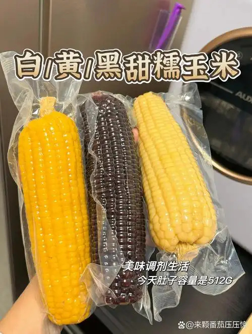 呼和浩特东北黄糯黑糯白糯玉米产地直发一件代发