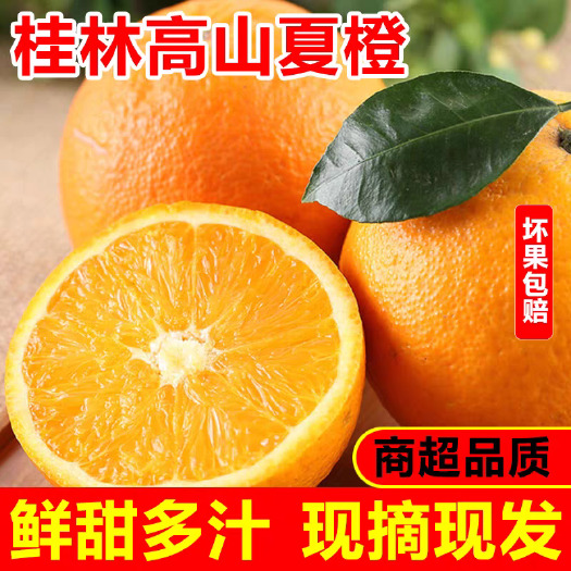 广西桂林平乐县新鲜夏橙，产地直发，口感甘甜多汁。