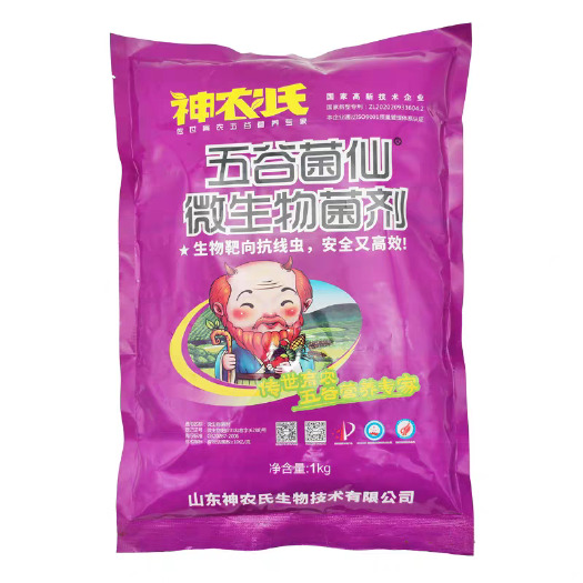 济南淡紫拟青霉拟淡紫青霉菌剂紫孢菌线虫药根结线虫微生物药杀线虫药