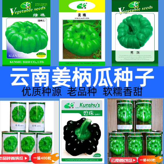 昆明云南姜饼瓜种子 玉溪老品种姜柄瓜种子 瓜型漂亮 口感软糯香甜