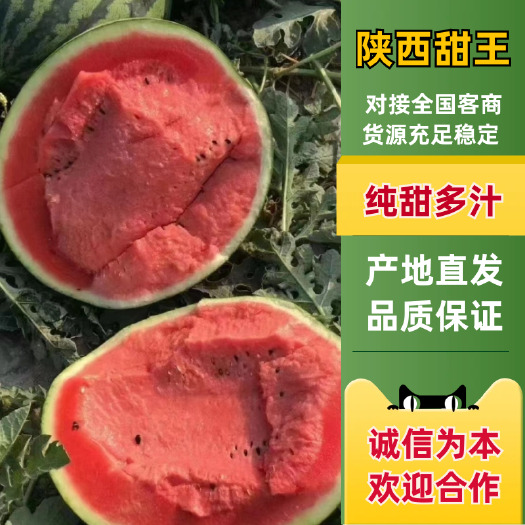 蒲城县陕西甜王【甜王西瓜】支持视频看货，可发往全国市场！