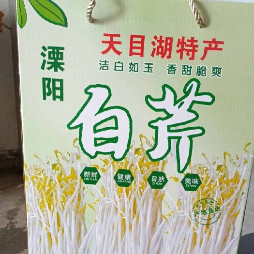 白芹基地直供