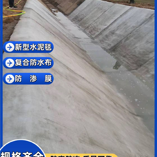 福州鱼塘河道水渠护坡新材料水泥毯