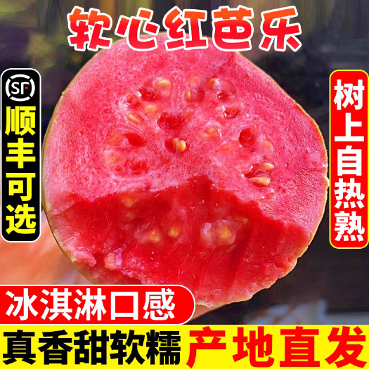 漳州福建漳州长泰番芭乐