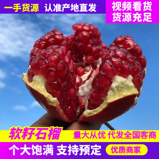 会理市突尼斯软籽石榴供应，商超，批发市场，需要联系产地代办，