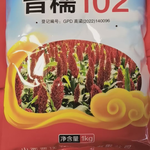杭州晋糯102种子