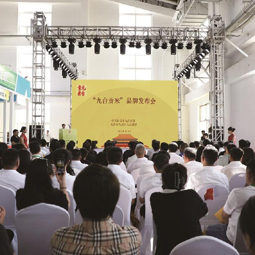 吉林长春九台区一等品长粒香大米