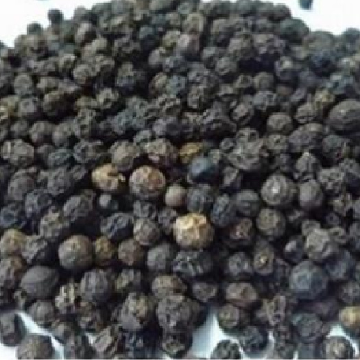 昆明黑胡椒云南昆明干颗粒黑胡椒优质香辛料批发零售