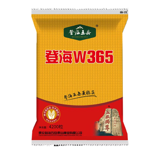 故城县登海w365玉米种