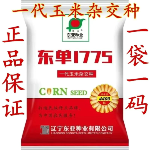 东单1775玉米种子国审红轴大穗