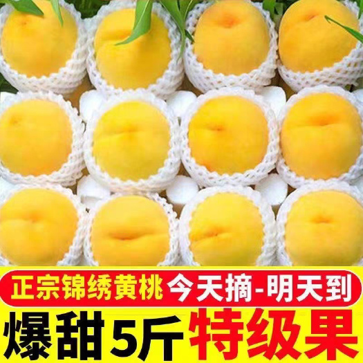 枣阳市湖北襄阳新鲜锦绣黄桃 果大肉厚甜香多汁 现摘现发