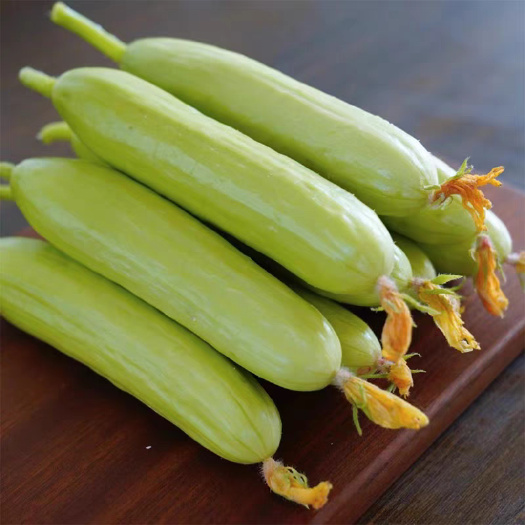 寿光市奶油黄瓜水果黄瓜特菜批发