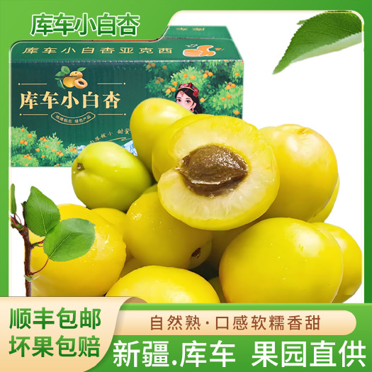 库车市咬一口就爆汁！新疆'白色蜂蜜'小白杏抢，甜到腰的初夏限