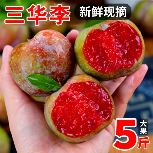 田东县广西百色本地三华李现摘精选新鲜包邮