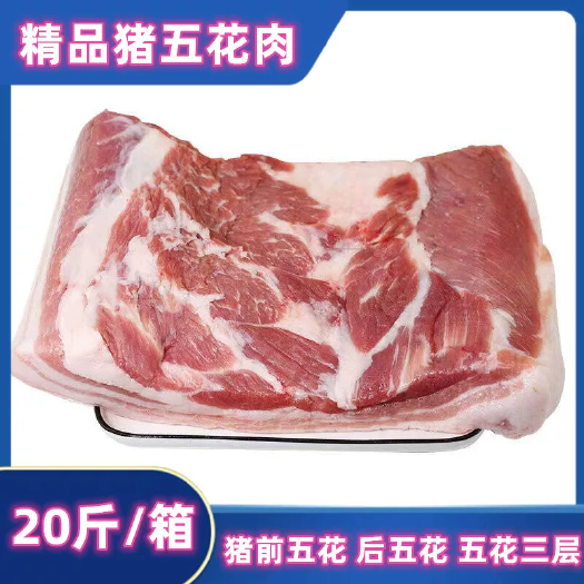 新鲜冷冻优质生猪肉带皮五花肉猪前腿肉前后上肉整箱饭店食材