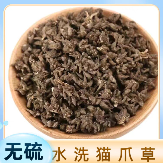 亳州水洗两遍猫爪草颗粒饱满干净无杂基地直发大小均匀
