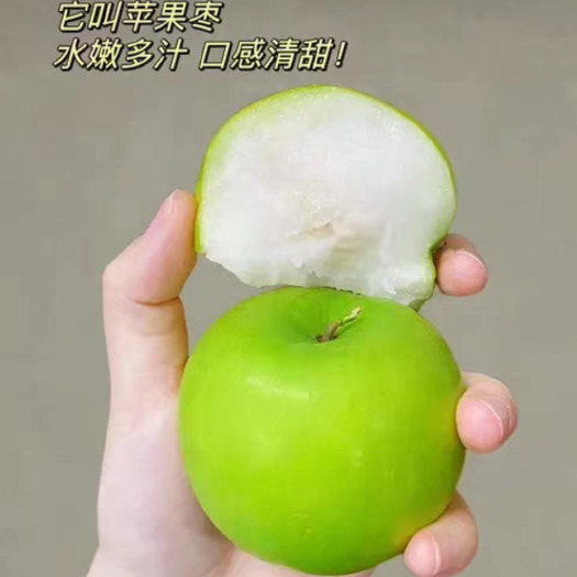 灵山县苹果青枣苗，嫁接苗，大果脆甜好吃