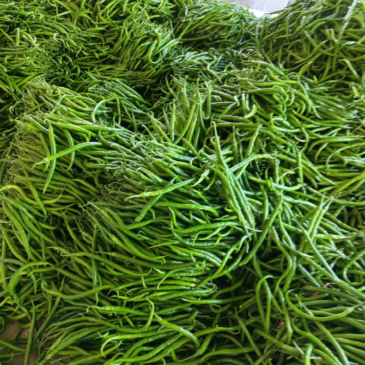 阜南县线椒，线皱皮辣椒
