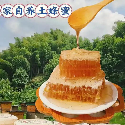 昆山市农家自养土蜂蜂蜜