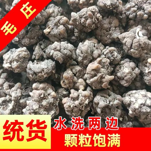 淮滨县河南信阳猫爪草中药材 干燥根茎批发零售 淮滨县发货